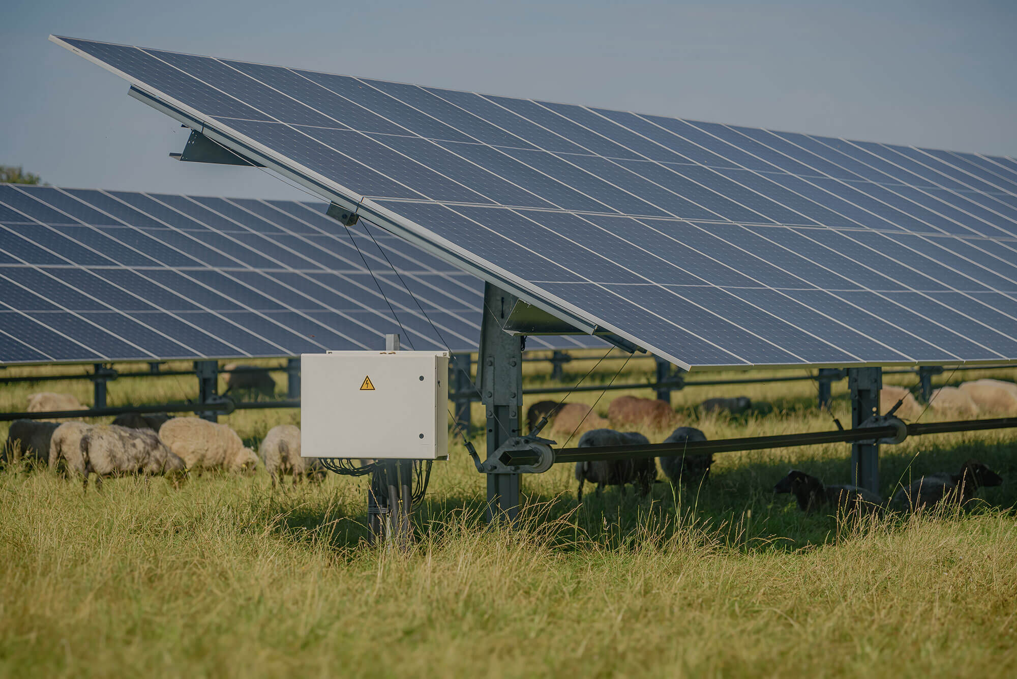 Fraser coast solar farm right side view